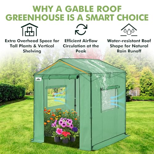 Image of EAGLE PEAK 6x6 Pop Up Walk in Greenhouse, Easy Setup, Gable Roof, Green