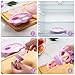 Baby Fruit Feeder, with Mini Freezer Tray, Silicone Teething Toys, Breastmilk Popsicle Molds for Baby Teething Relief, Includes 4 Mesh Pacifier