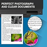 Paeolos Compatible Ink Cartridge