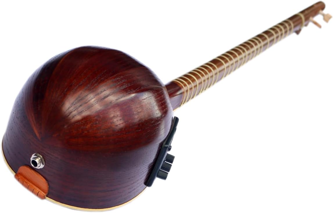Professional Electric Acoustic Persian Setar, Sehtar With Equalizer String Musical Instrument ES-4