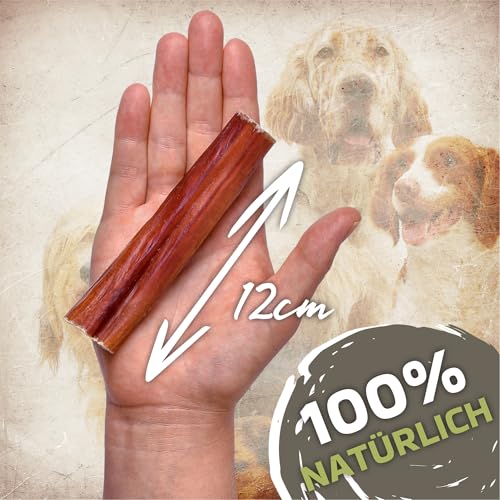Rinderpizzle für Hunde 12 cm Größe L 10 Stück (400g) | natürliche, geruchsfreie Kausnacks | langanhaltend & getreidefrei | 100% Rind | für mittelgroße Hunde