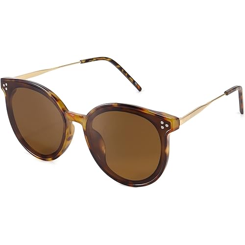 Dollger Classic Round Sunglasses for Women Men Big Black Retro Trendy Shades UV400 Sunnies Frame