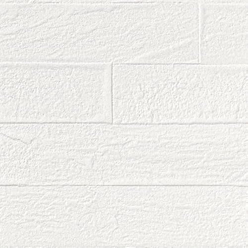 y30mpbNz TQc SP9777̂tǎ/Ђ ʎYNX (SP2871 j [t ^C[N-SP9777-30] SP 2023-2025