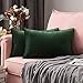 MIULEE Housse de Coussin en Velours Décorative Canapé Bordure Taie d'oreiller Super Doux Decoration Maison Salon Chambre pour Canapé Clic Clac 30 x 50 cm 12"x20",2 pièces Vert Foncé