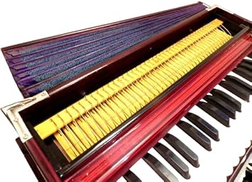 Portable Folding Harmonium, 9 Stops, Rosewood Color, 3 1/2 Octave, Coupler, Bag, Tuned To A440