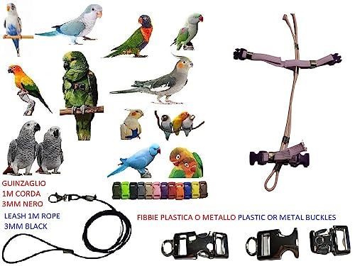 Arnés para loros ajustable con conectores de metal y cuerda elástica de 3 mm 3