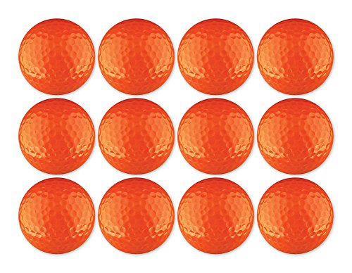 EnjoyLife Inc Golf Ball 12-Pack Colorful Blank