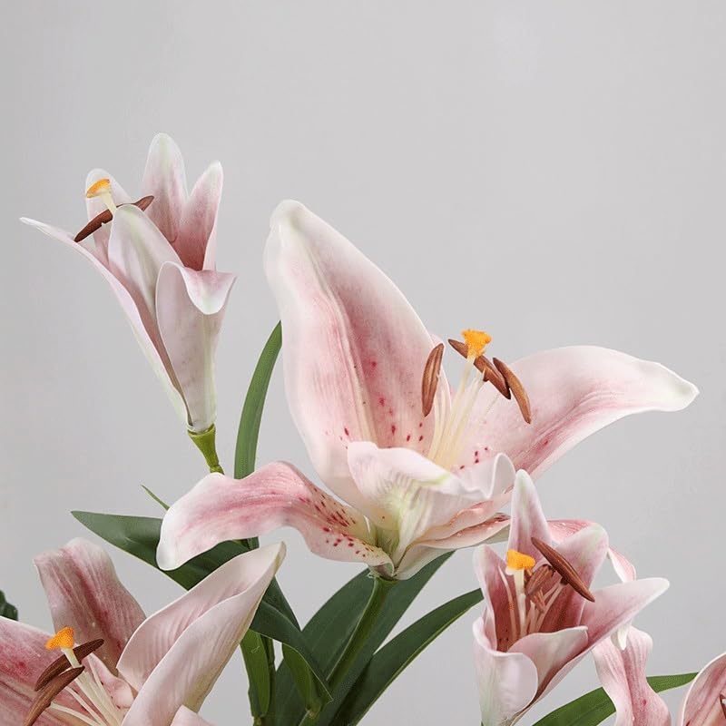 Parfum de lys pour décoration douce de maison, grand salon et grand mariage - 5