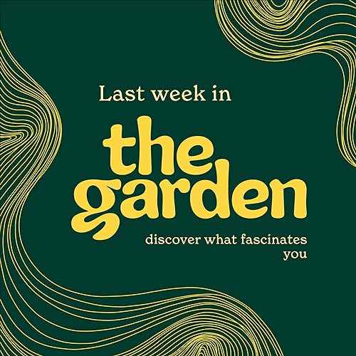Last Week in The Garden Titelbild