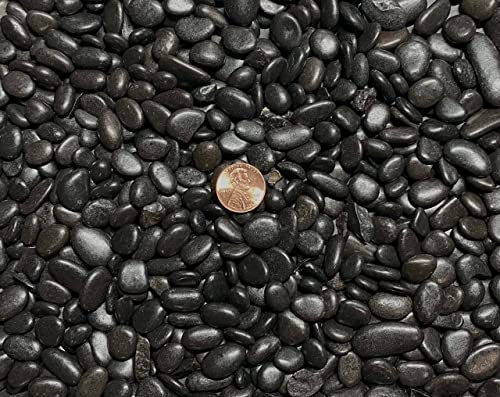 Generic 3 Lbs. Black Polished River Pebbles for Bonsai Tree Humidity Tray, Lucky Bamboo, Fish Tank...