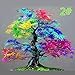Produktbild guangzhou 20Pcs japanische Ahornsamen Bonsai DIY Pflanze Blumentopf Bunte Blätter Kreative Haushalt Home Mini Garten Dekor Topfpflanzen