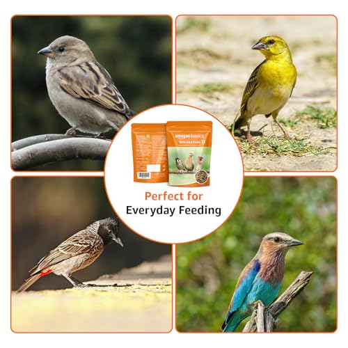 Image of Amazon Basics Mix Seed Bird Food for Wild Birds | 1 Kg | 100% Natural | Energy-Rich & Easily Digestible | Suitable for All Life Stages | Made in India