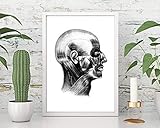 Din A4 Kunstdruck ungerahmt Anatomie Kopf Muskeln Mensch Schädel Retro Antik Medizin Druck Poster Bild