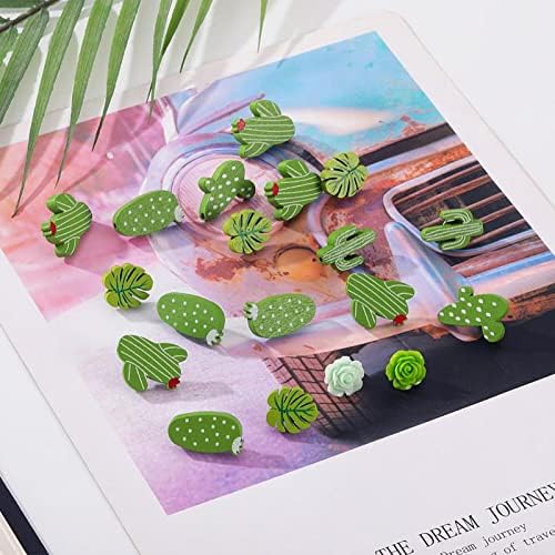 Miniatura 5 de Juego de 40 alfileres decorativos, cactus hoja de palma, camelia rosa, pulgar, tachuelas decorativas para tablero de corcho, tablón de anuncios,