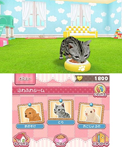 かわいいペットとくらそう!  わんニャン&amp;アイドルアニマル - 3DS 体験版]かわいいペットとくらそう！ わんニャン＆アイドル