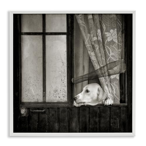 Labrador Dog Farmhouse Barn Door, 17 x 17 Inch Framed Giclée Print