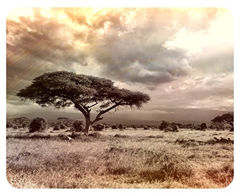Preisvergleich Produktbild m. kern Mousepad Afrika Steppe