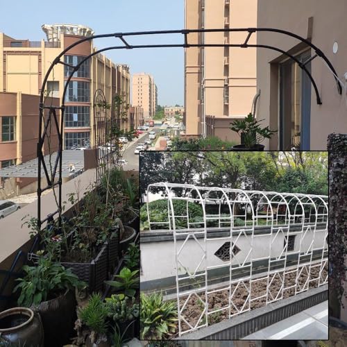 Arco semiarbor para rosas con estructura de acero robusto y elegante 6