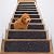 TreadSafe Carpet Stair Treads Non-Slip I 8"x30" Set of 15 I Charcoal Black I Non Slip Backing I Stair Runner for Safety - Elders, Kids, and Dogs ((15 Pack) Charcoal Color