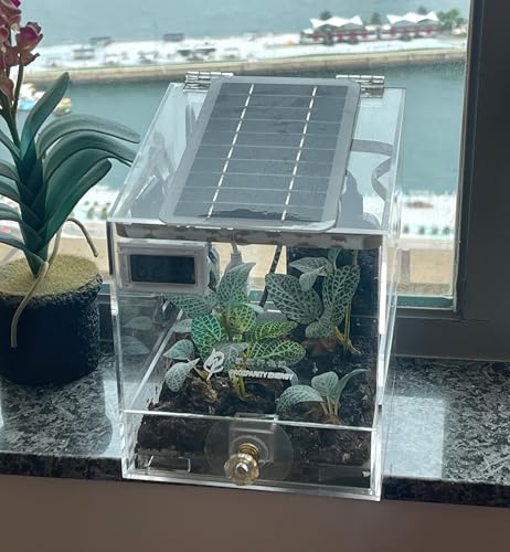 Serre solaire LOL Light of Life abri de jardin transparent pour tomates et semis