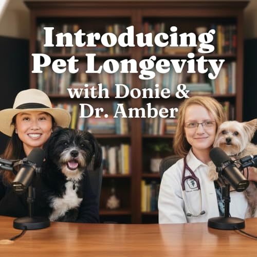 Introducing Pet Longevity with Donie & Dr. Amber for Dogs, Cats, Pet Parents