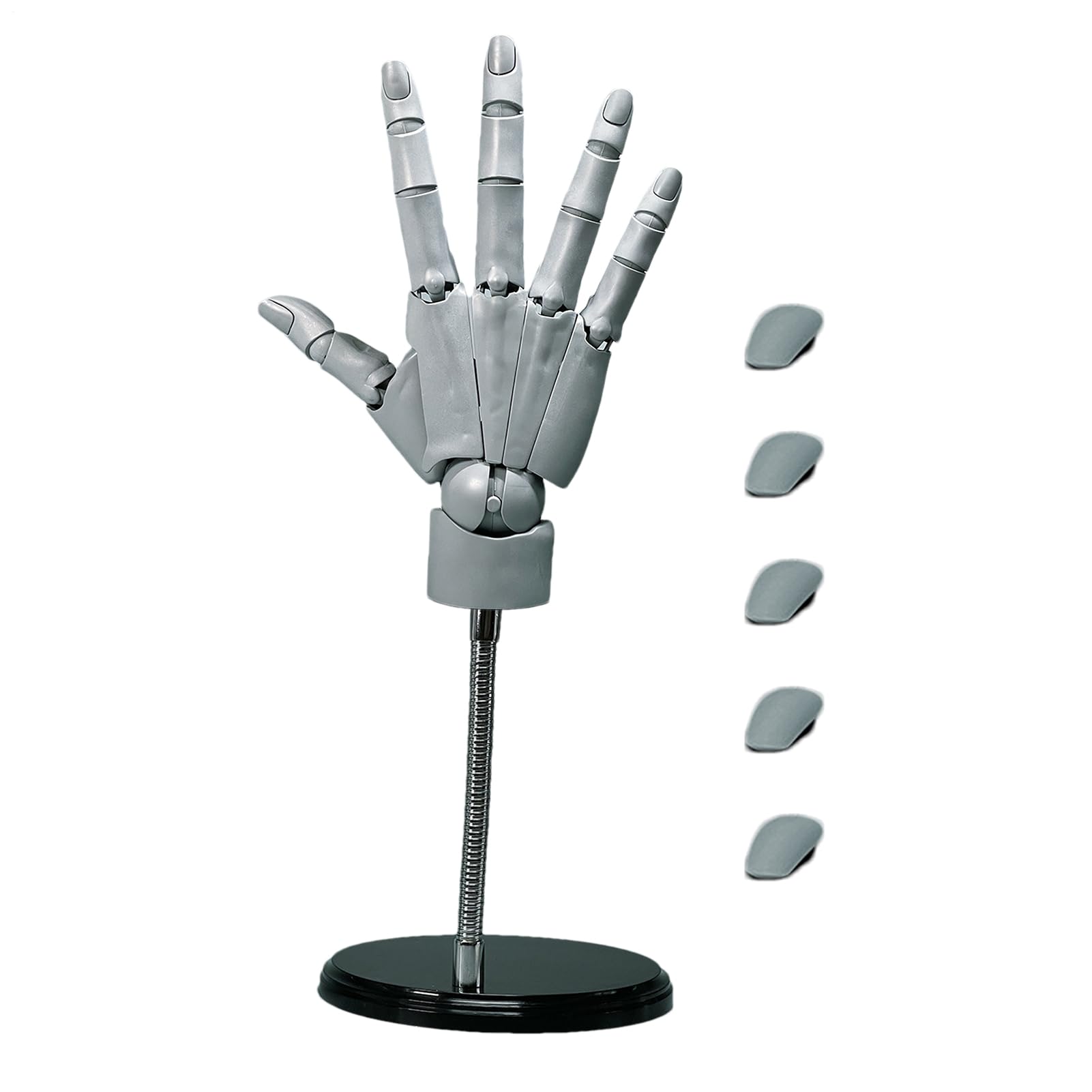 Main Modèle Mannequin de dessin d'artiste articulé