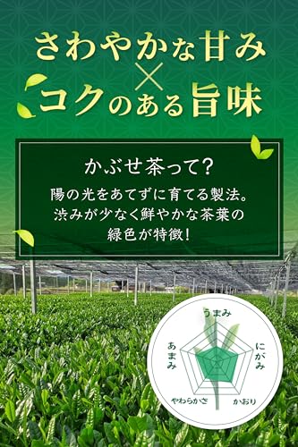 春芳茶園 八女茶 深蒸しかぶせ煎茶 80g