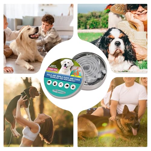 Colar de carrapato de cachorro, colarinho para cães - PREVENCIMENTO DE PET PET Tick Collar,Colar de