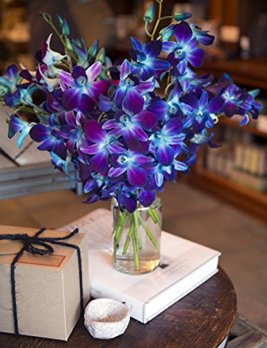 KaBloom Flowers - Blue Sapphire Orchid Bouquet of 10 Fresh Blue Orchid with Vase - Gift for Birthday, Sympathy, Anniversary, Get Well, Thank You, Valentine, Mother’s Day Fresh Flowers - Thumbnail 2