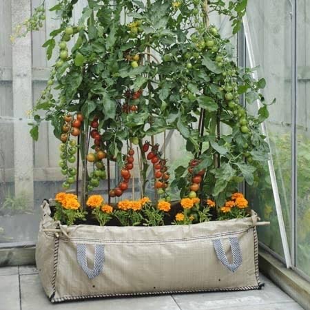Marshalls 3 Pack Wooden Raised Garden Bed