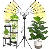 10 Heads Grow Lights for Indoor Plants Full...