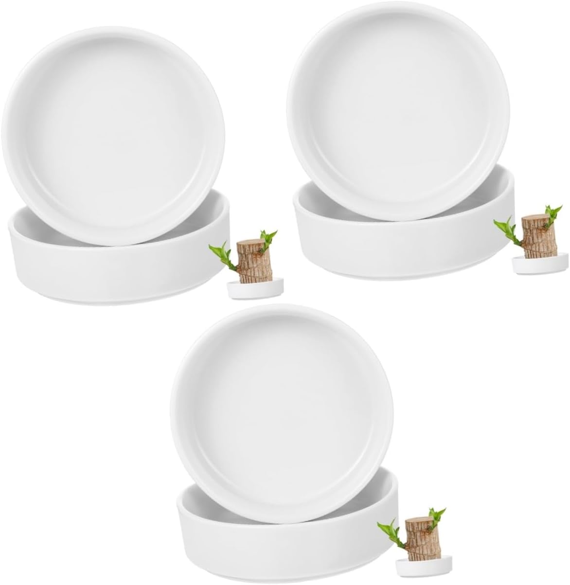 6pcs Brazilian Wood Plant Tray Ceramic Bottom Hydroponic Pot Holder for Indoor and Outdoor Use and Easy to Clean for and Greenery