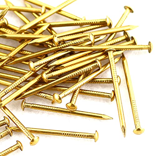 Clavo pequeño mini de latón con cabeza redonda M2.5x2.5mmx5mm (aproximadamente 19 piezas), para montaje electrónico y fijación eléctrica miniatura 3