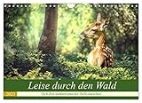 Leise durch den Wald. Sich Zeit nehmen und der Stille lauschen (Wandkalender 2023 DIN A4 quer), Calvendo Monatskalender