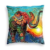 Aiputao Colorful Aztec Elephant Sunset Square Throw Pillow Cover 18 X 18 Inch Modern Cushion Cases S