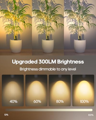 Image of GOODEA Spotlights Indoor with Remote, 3000mAh Rechargeable Battery Plant Spotlight Indoor, Wireless Uplights with 3 Colors & Dimmable, Picture Light for Painting, Accent Lighting(1 Pack, White)