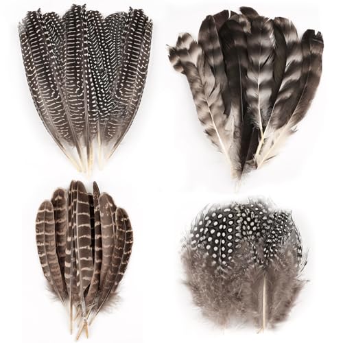 Deepton 50 Stück 4 Stil Federn zum Basteln, Feder Truthahnfedern, Federn Groß, Schwarze Federn Basteln, Federn Weiss, Bastelfedern, Federn Deko für DIY Ostern Weihnachten Maske Traumfänger
