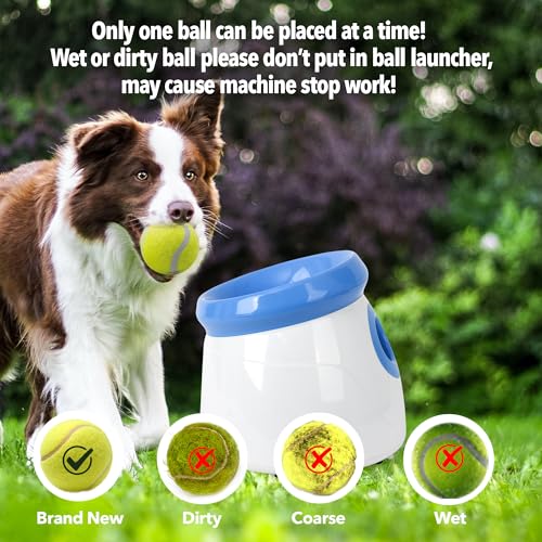Pet Prime Automatischer Ballwerfer, Hunde Ball Interaktive Ballwurfmaschine, 3 Tennisbälle Inkl, Interaktive Ballmaschine für kleine und mittlere Hunde - Wurfweite 3-9 Meter, Mini Style(Weiß)