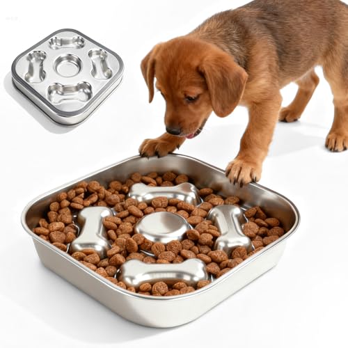 GOMETY Ciotola per cani in acciaio inox 304, 22 cm, anti-imbracatura con tappetino in silicone antiscivolo, per cani di grandi dimensioni, anti-imbracatura per cani, slow feeder