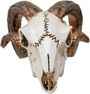 Pacific Giftware Mini Ram Skull Figurine Polyresin Skeleton Head Tabletop Decor Halloween Micro Landscape Accent by Alchemy England