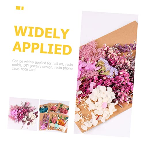 Paquete de flores prensadas para decoración y manualidades miniatura 4