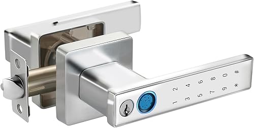 Cerradura de puerta de huellas dactilares, perilla de puerta con teclado con asa, perilla de puerta inteligente plateada con código de acceso,