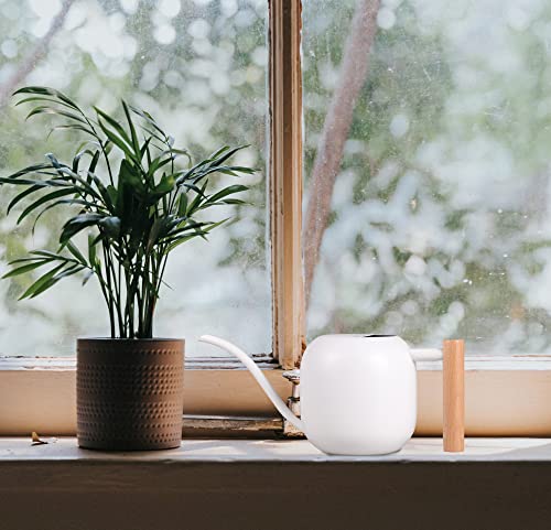 IMEEA Watering Can for Indoor Plants 40oz Stainless Steel Watering Can with Long Spout and Wooden Handle (White)