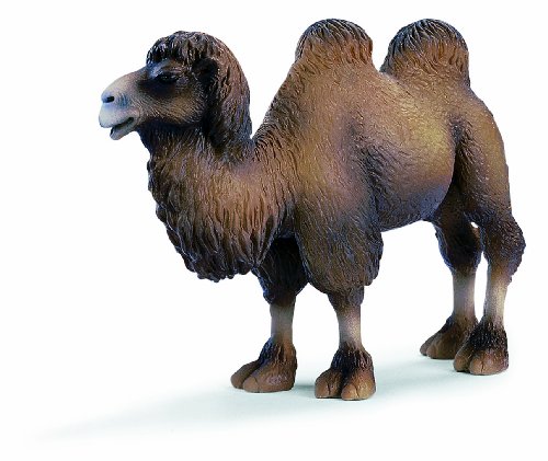 Preisvergleich Produktbild SCHLEICH 14348 - Wild Life, Trampeltier