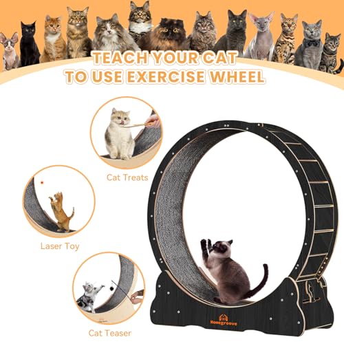 Image of Homegroove Cat Wheels for Indoor Cats, 46 inch Large Cat Exercise Running Treadmill Wheel with Carpeted Runway for Kitty's Longer Life, Black(XL)