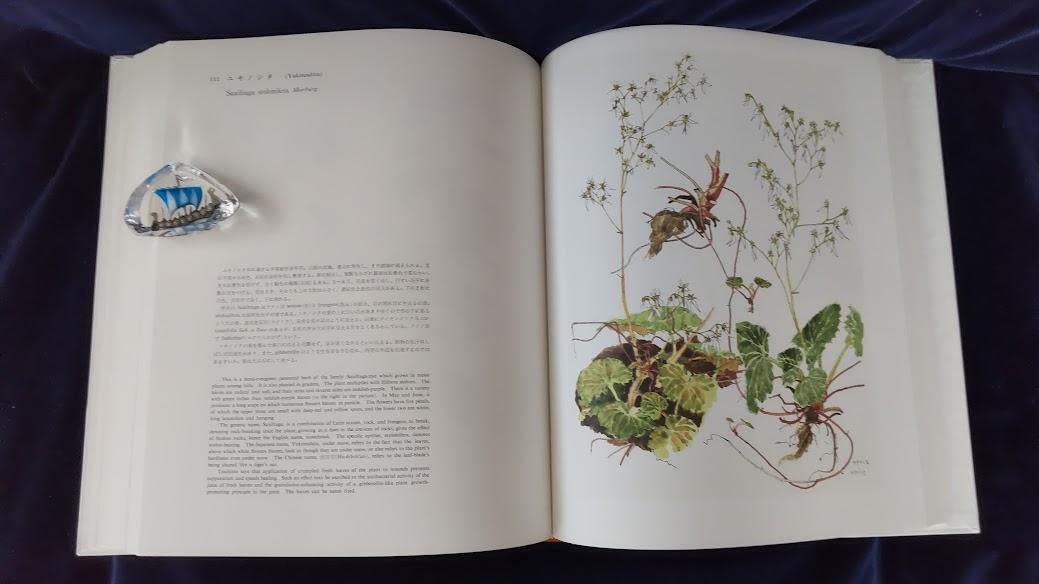 薬用植物画譜 画小磯良平 解説刈米達夫 発行（株）日本臨牀社
