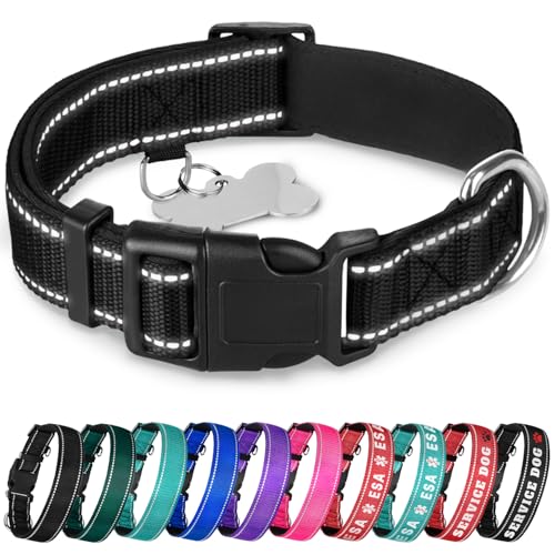 TECEUM Reflective Dog Collar – Black – M – Extra Soft Padding – Basic Nylon Pet Collar – Quick Release Buckle – Fits Small, Medium and Large Dogs, Puppies, Cats