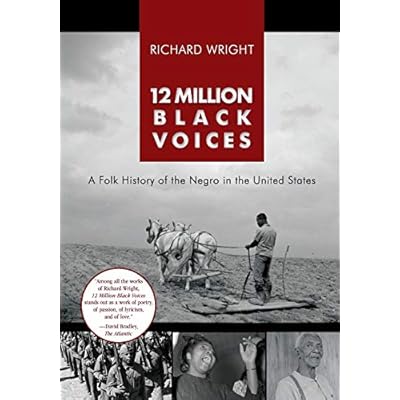 12 Million Black Voices