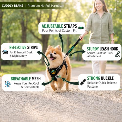 Image of Adjustable Padded Dog Harness with Leash, Black, M (16-24 kg)