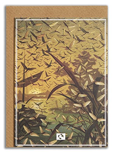 Earth Messaggio 1891403 Scheda Doppio Eco-Design
